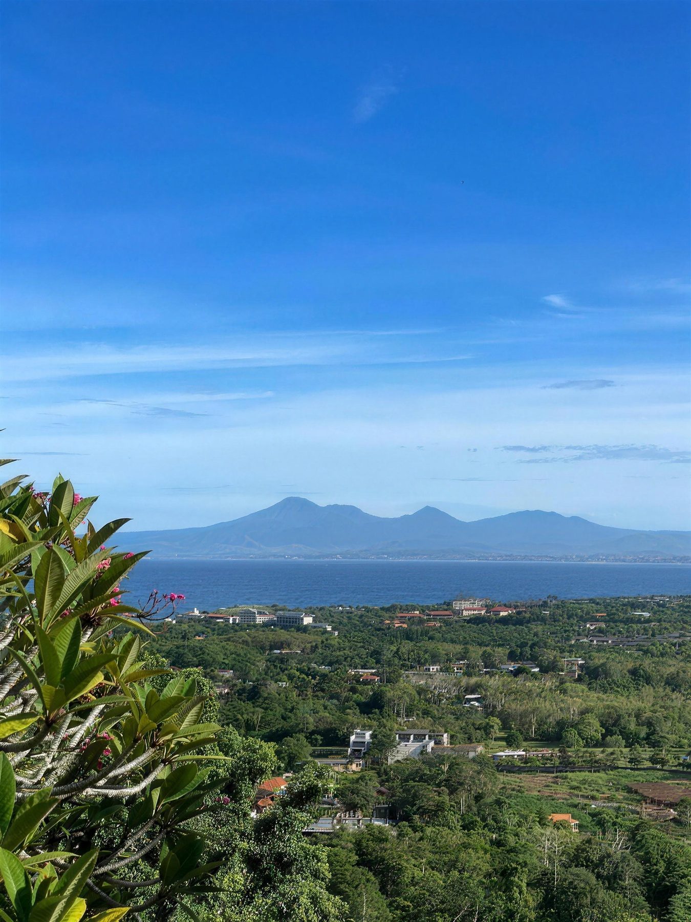 Ocean view with frangipani in bloom