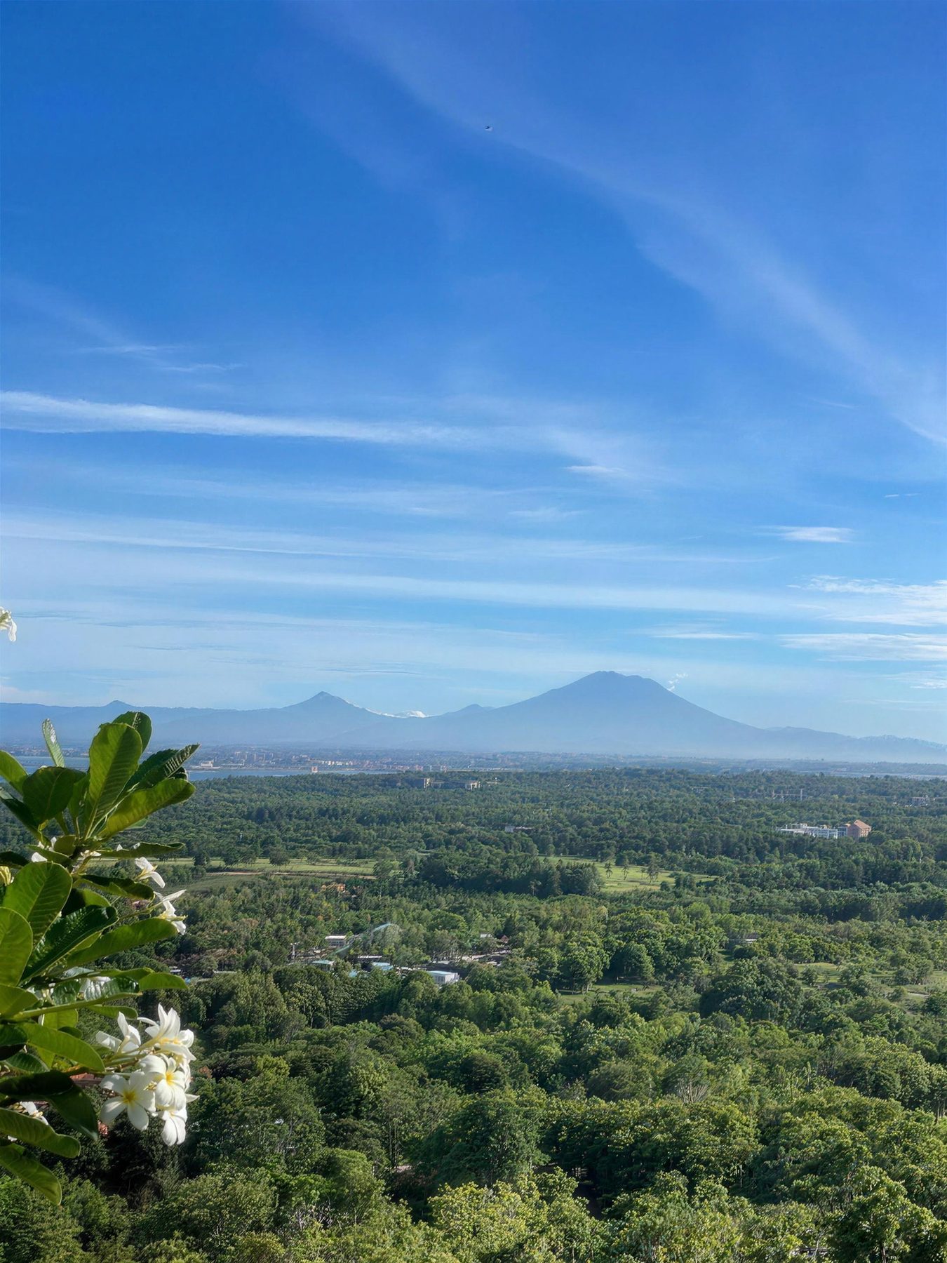 Volcanic ridge across the water with white frangipani